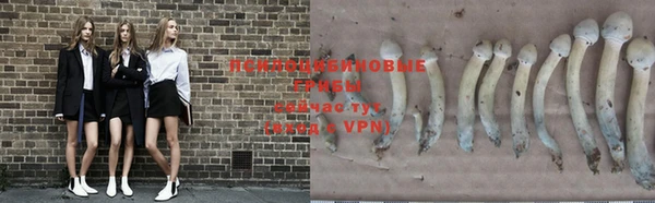mdpv Кукмор