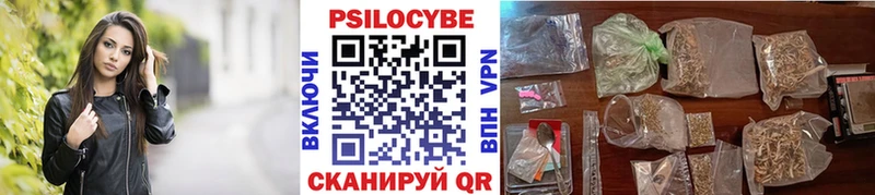Галлюциногенные грибы мицелий как найти Каргат